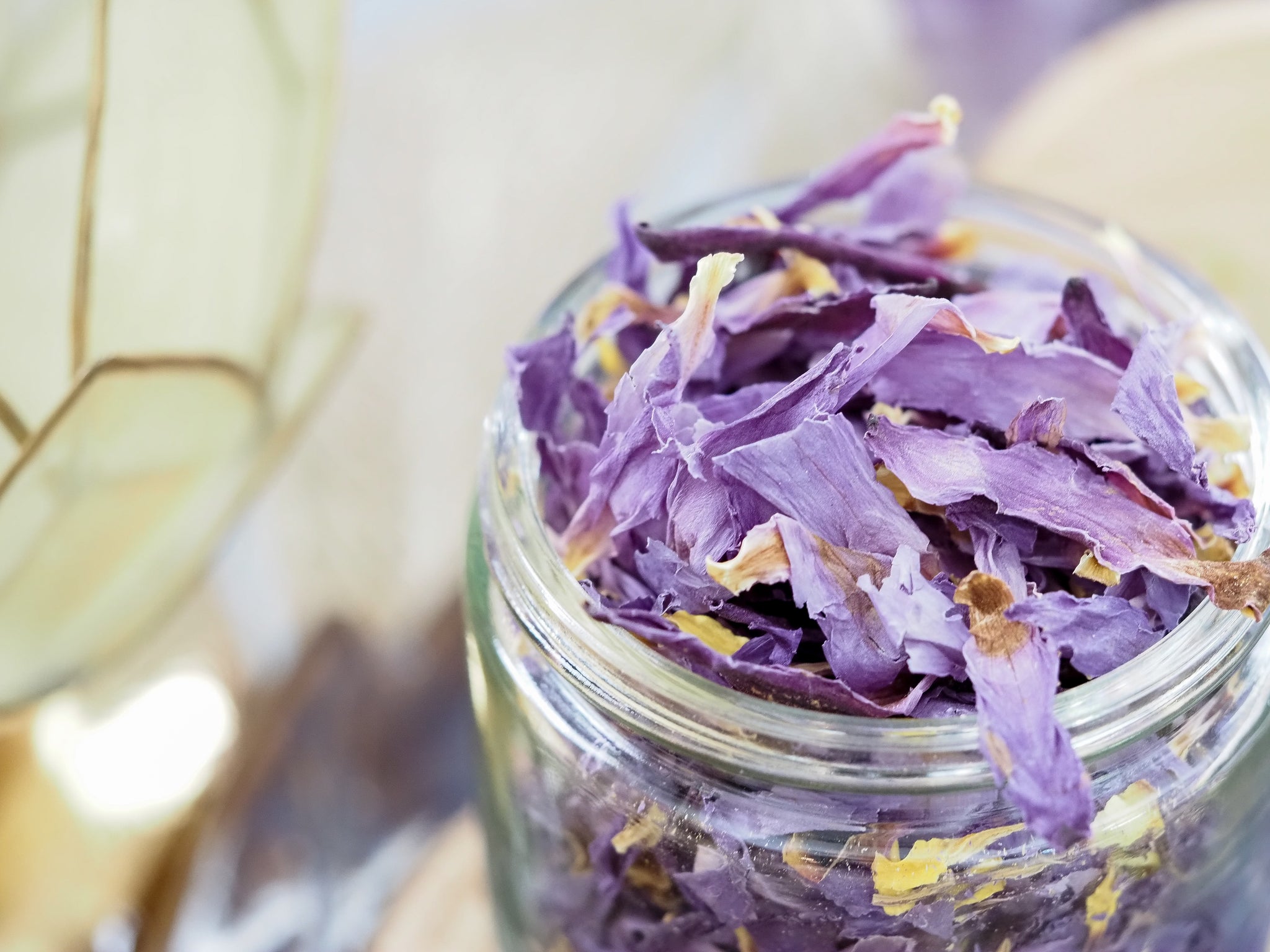 Blue Lotus Flower (Big)