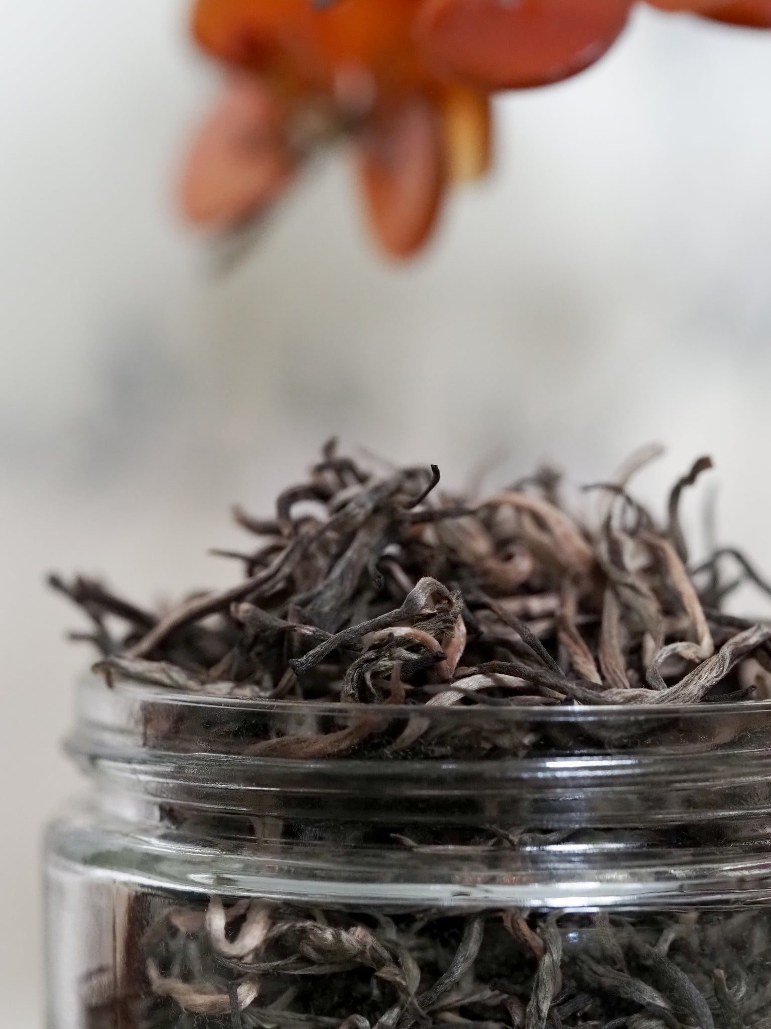 Yunnan (Yellow Tea)